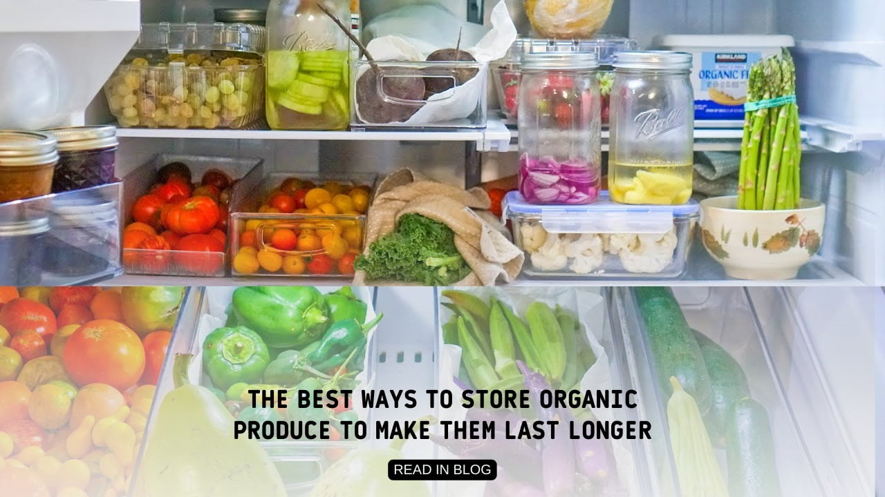 The Best Ways to Store Organic Produce to Make them Last Longer