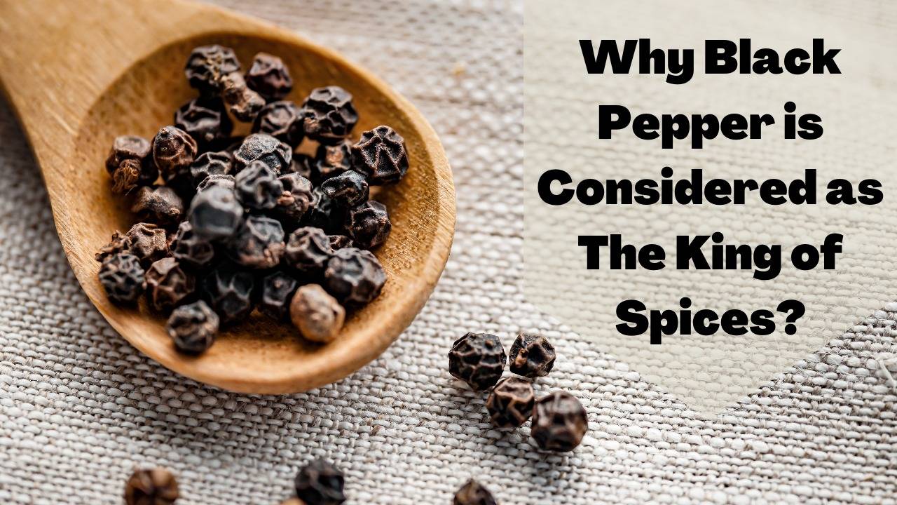 Why Black Pepper is Considered as The King of Spices?
