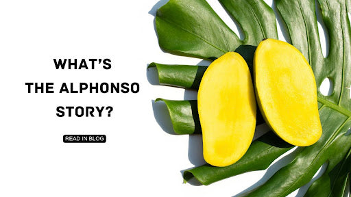What’s Alphonso's Story?