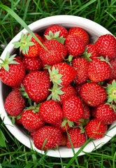 Organic Strawberry (450-500 Gm)Box