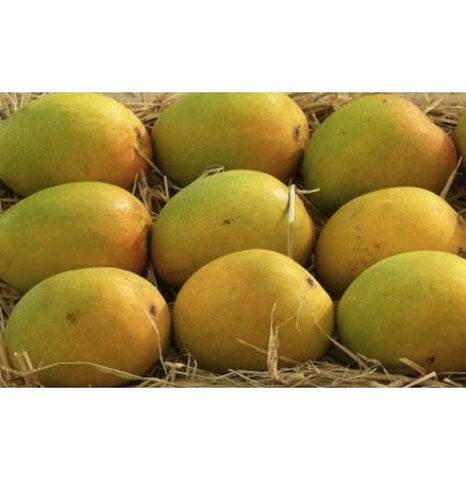Organically Grown Alphonso Mangoes Size (201-280gm)