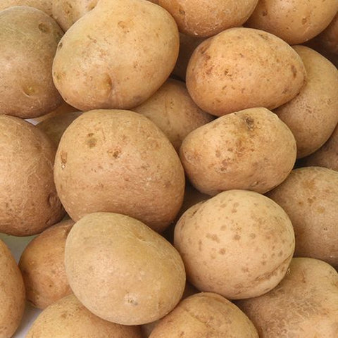 Organic Baby Potato