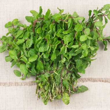 Organic Mint Leaves (Pudina)