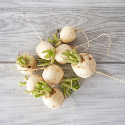 Organic Baby Turnips